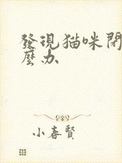 发现猫咪闭尿怎么办