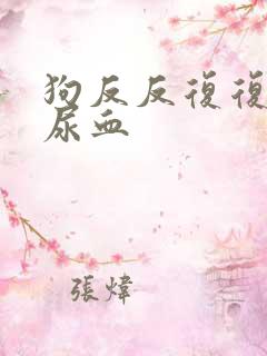 狗反反复复尿频尿血