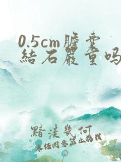 0.5cm胆囊结石严重吗