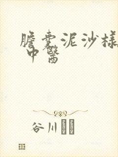 胆囊泥沙样结石 中医