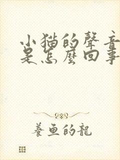 小猫的声音嘶哑是怎么回事