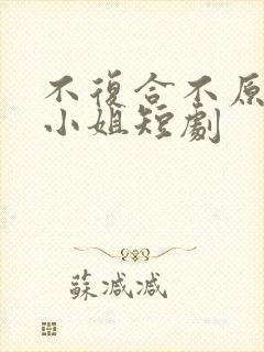 不复合不原谅苏小姐短剧