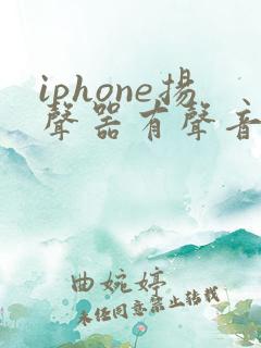 iphone扬声器有声音听筒没声音