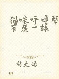 猫咪呼噜声音像有痰一样