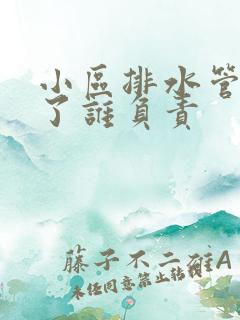 小区排水管道坏了谁负责