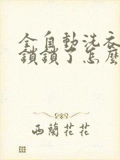 全自动洗衣机童锁锁了怎么办