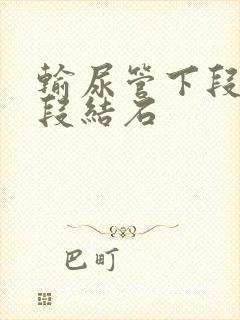 输尿管下段膀胱段结石