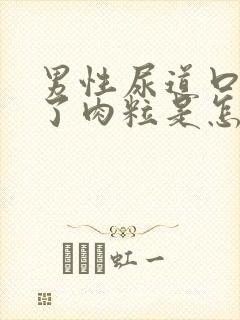 男性尿道口上长了肉粒是怎么回事