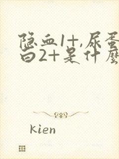 隐血1+,尿蛋白2+是什么意思