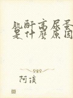 肌酐高尿蛋白高是什么原因