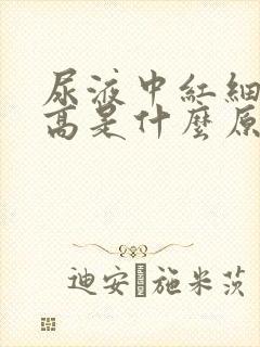 尿液中红细胞升高是什么原因