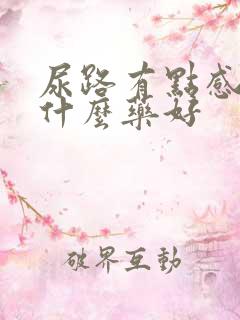 尿路有点感染吃什么药好