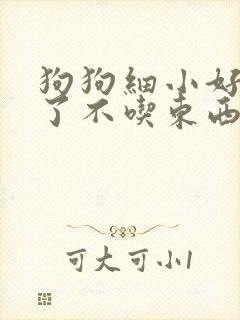 狗狗细小好几天了不吃东西怎么办