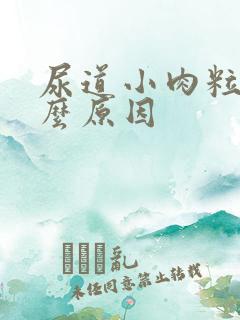 尿道小肉粒是什么原因