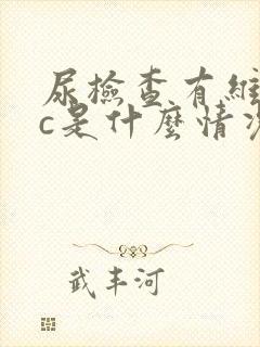 尿检查有维生素c是什么情况