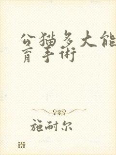 公猫多大能做绝育手术