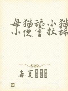 母猫舔小猫的大小便会拉稀