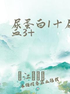 尿蛋白1十尿潜血3+