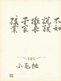 孩子撒谎不写作业家长该如何对待呢