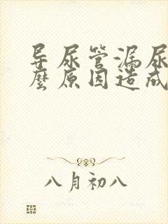 导尿管漏尿是什么原因造成的