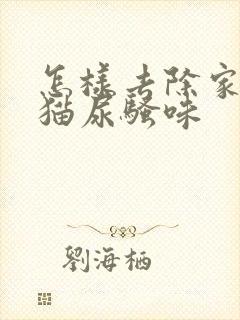 怎样去除家里的猫尿骚味