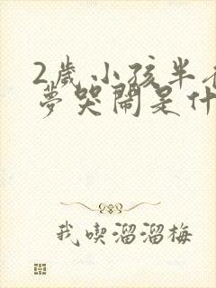 2岁小孩半夜做梦哭闹是什么原因