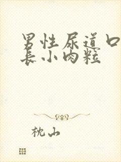 男性尿道口下面长小肉粒