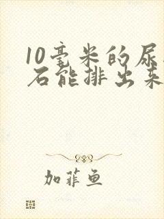 10毫米的尿结石能排出来吗