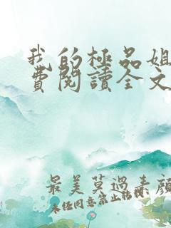 我的极品姐姐免费阅读全文