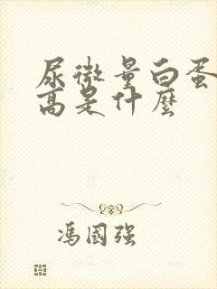 尿微量白蛋白偏高是什么