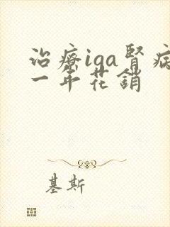 治疗iga肾病一年花销