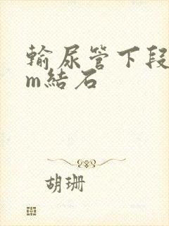 输尿管下段6mm结石