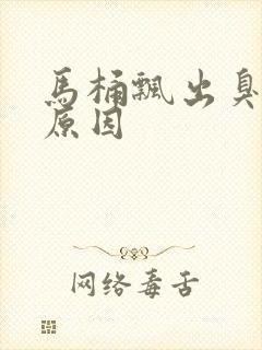 马桶飘出臭味啥原因