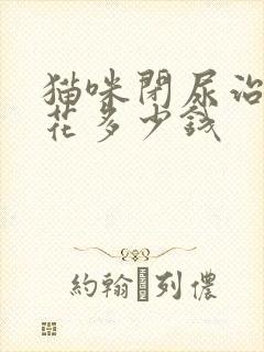 猫咪闭尿治疗要花多少钱