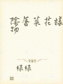 阴唇菜花样赘生物