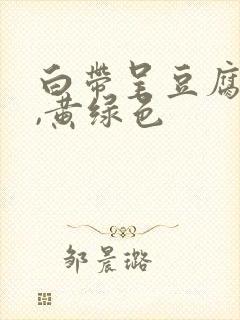 白带呈豆腐渣样,黄绿色