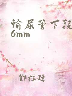 输尿管下段结石6mm