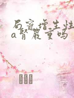 局灶增生性iga肾严重吗