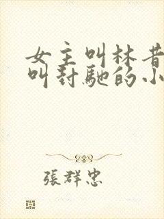 女主叫林昔男主叫封驰的小说