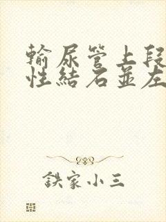 输尿管上段多发性结石并左肾轻度积水