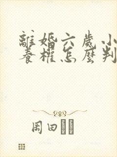 离婚六岁小孩抚养权怎么判