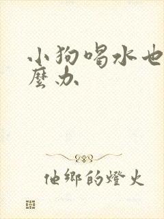 小狗喝水也吐怎么办