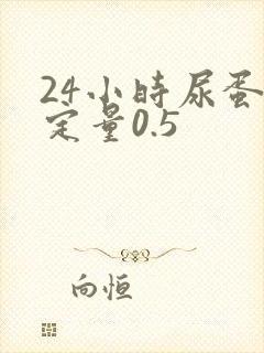 24小时尿蛋白定量0.5