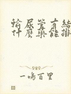 输尿管有结石用什么药能排石