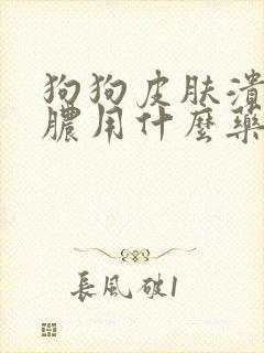 狗狗皮肤溃烂化脓用什么药