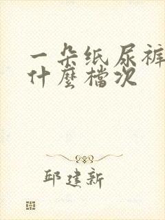 一朵纸尿裤属于什么档次