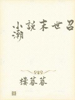 小说末世召唤狂潮