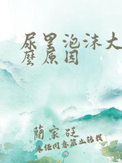 尿里泡沫大是什么原因