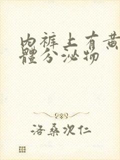 内裤上有黄色液体分泌物