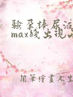 验孕棒尿液超过max线出现两条杠